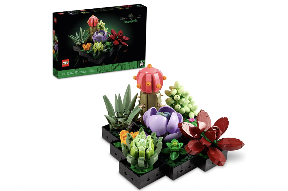 Best Lego sets of 2022: A Lego succulent set