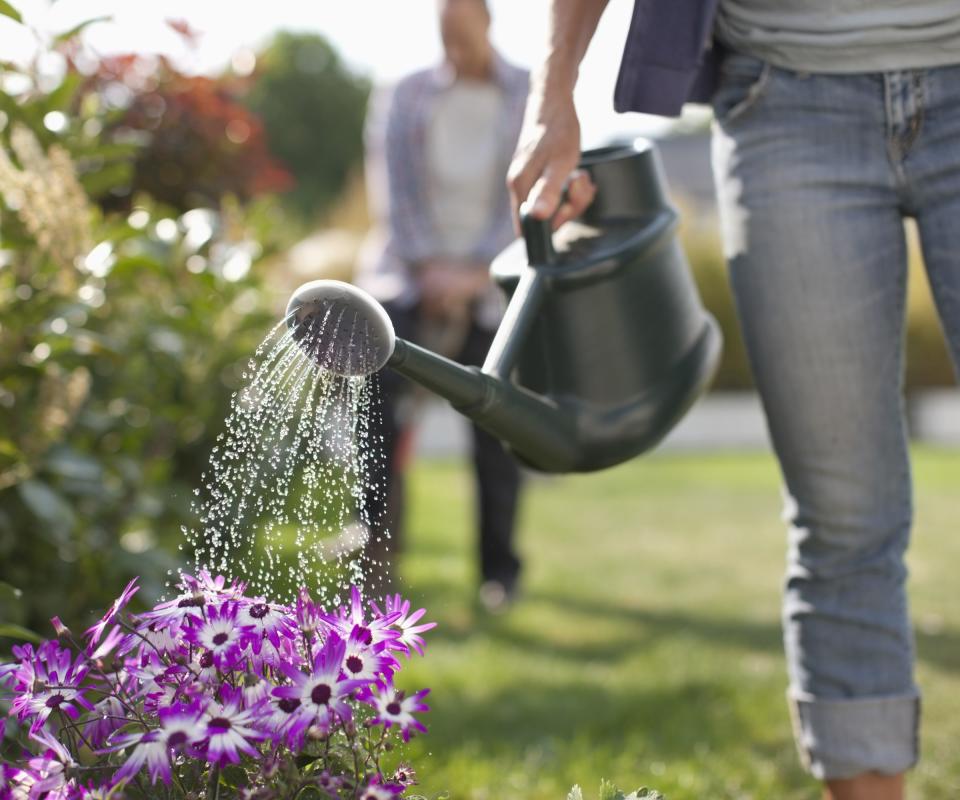 Watering the garden with a can