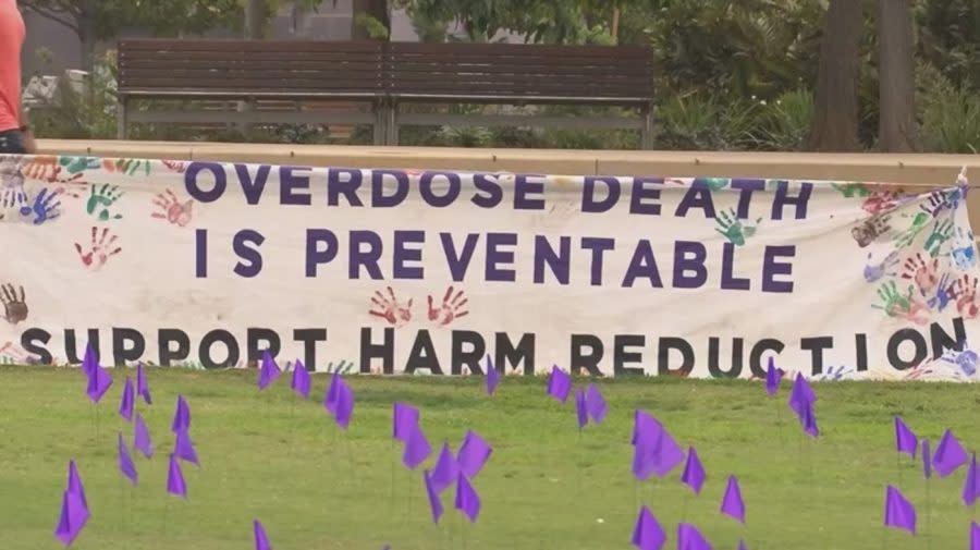 San Diego commemorates International Overdose Awareness Day