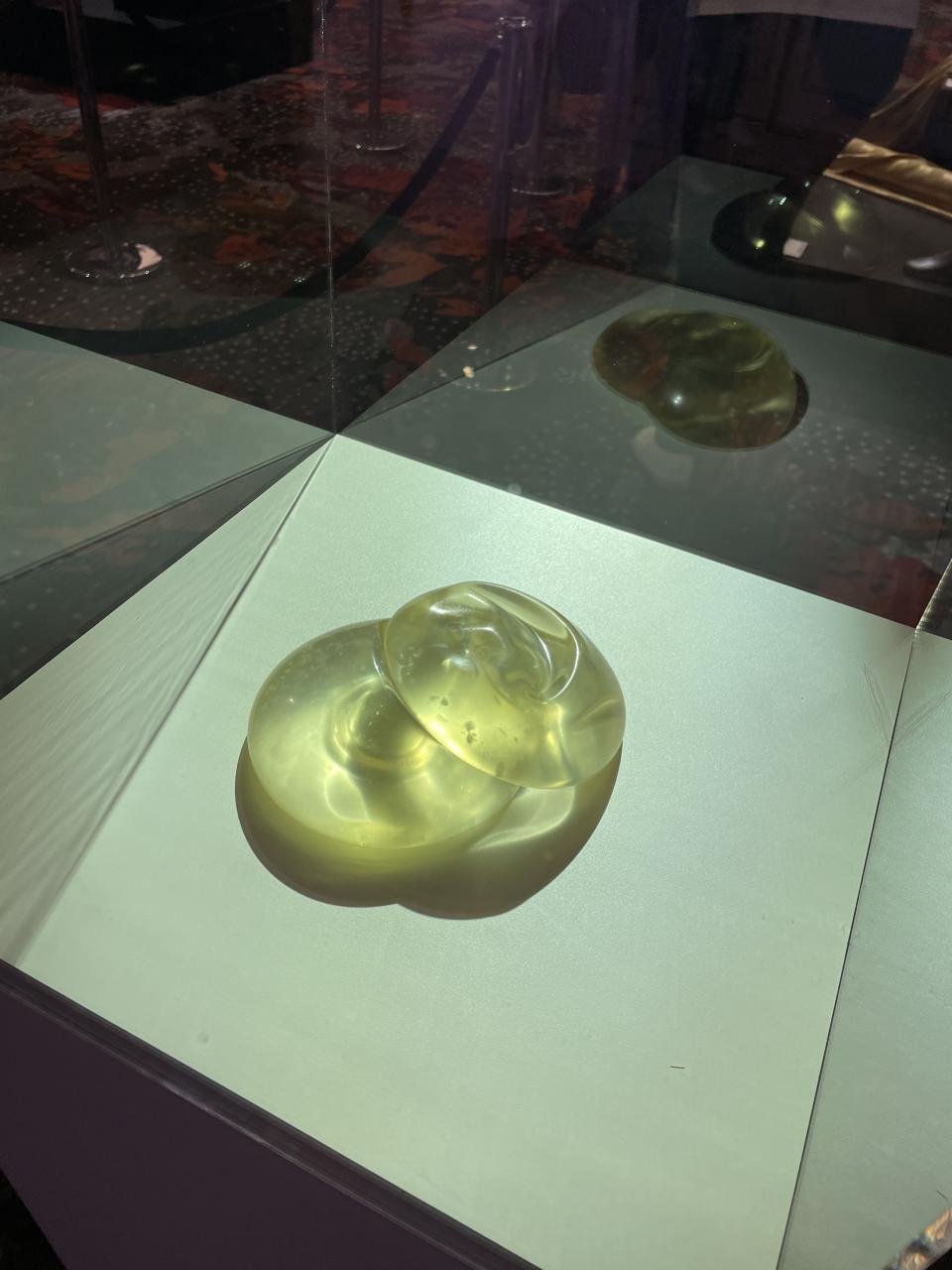 Tamra Judge's breast implants inside a glass display box