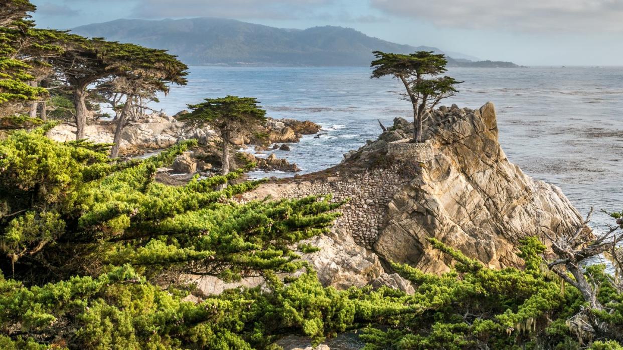 a coastal landscape in california, usa