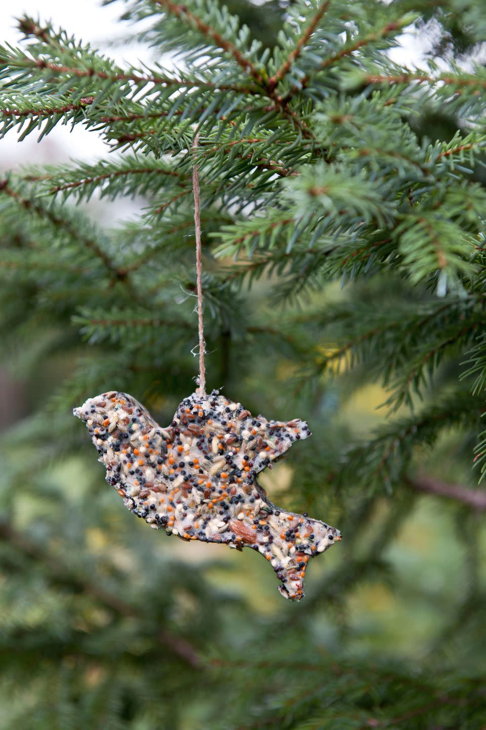 Homemade Bird Seed Ornament