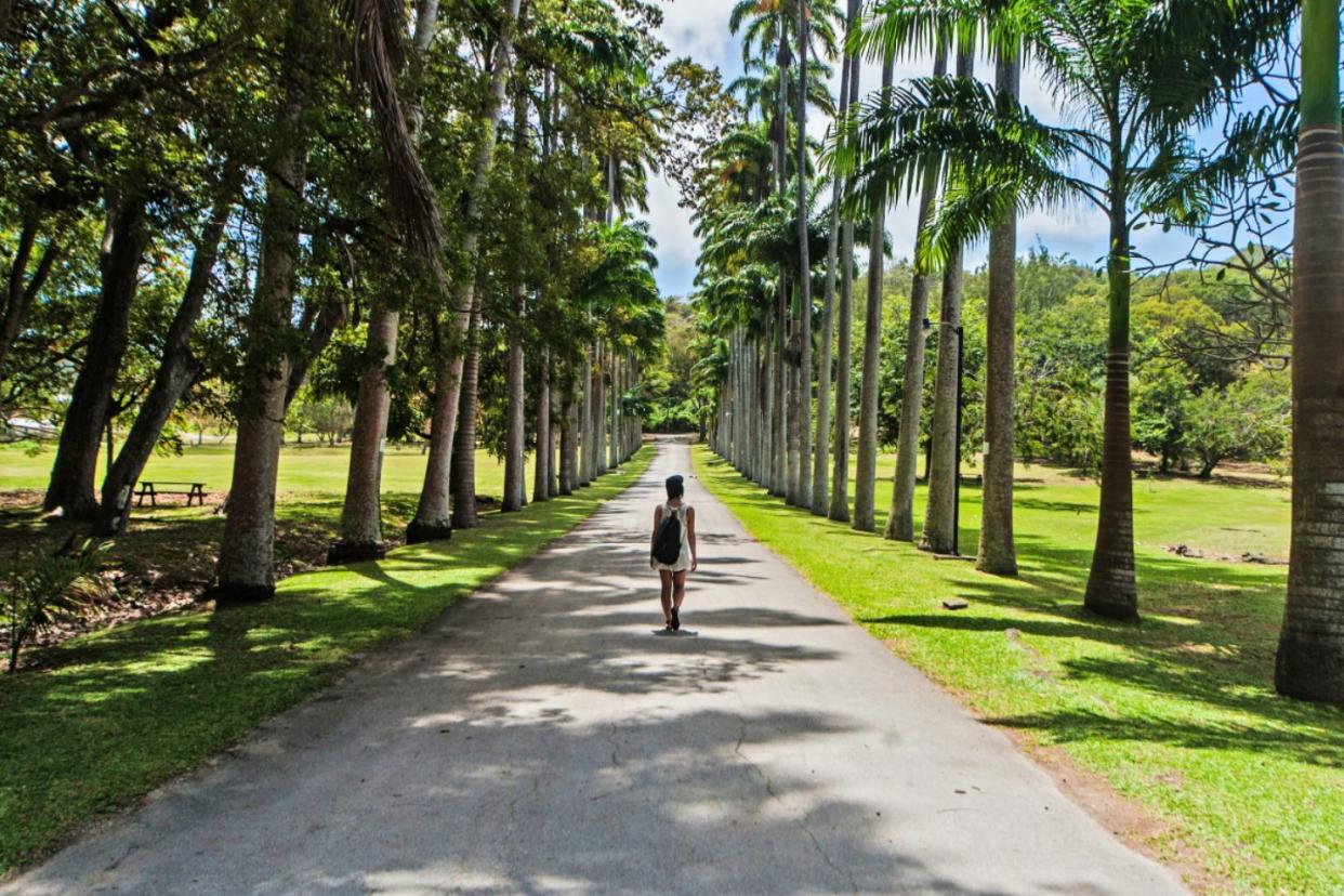 woman walking down tree-lined road at Codrington College in Barbados