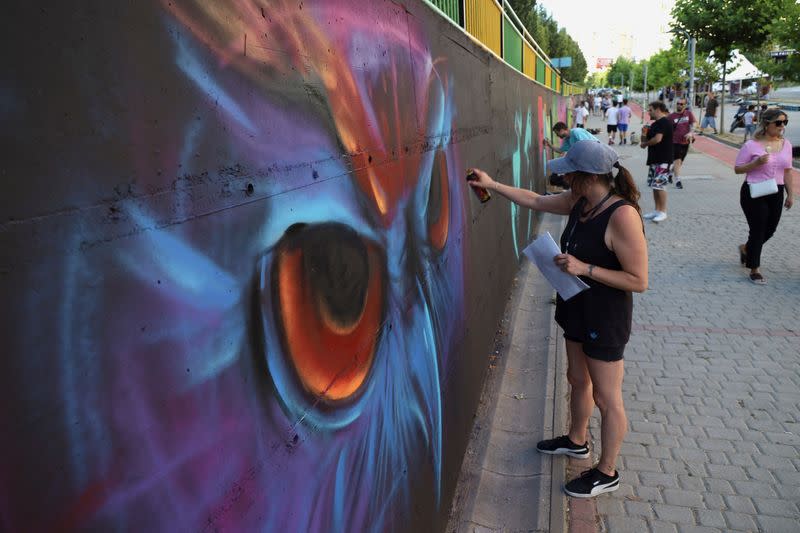 Meeting of Styles graffiti festival in Pristina