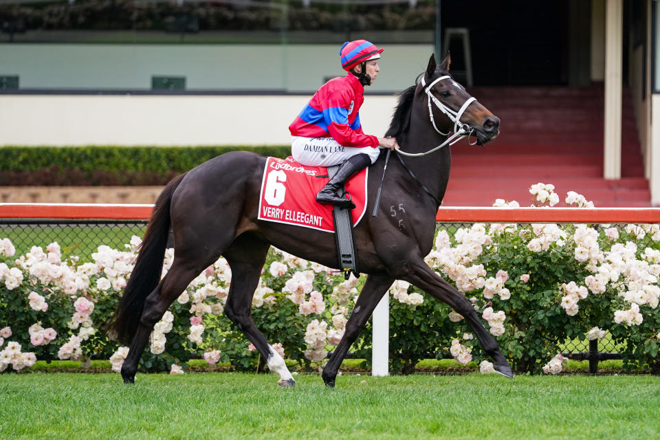 Jockey Damian Lane is seen here on Verry Elleegant at the 2021 Cox Plate.