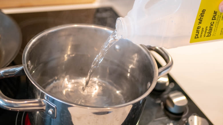 White vinegar in bottles for cleaning