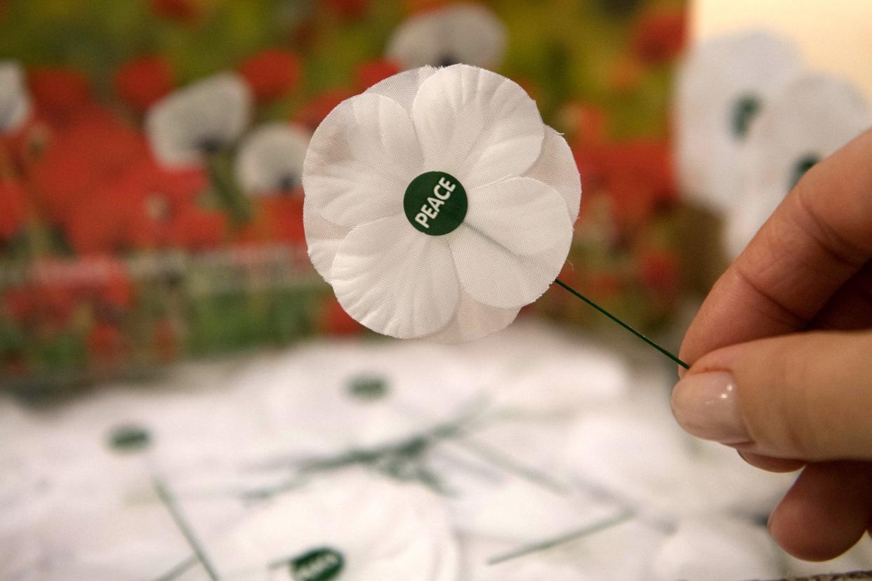 White poppies continue to spark controversy: PA Archive/PA Images