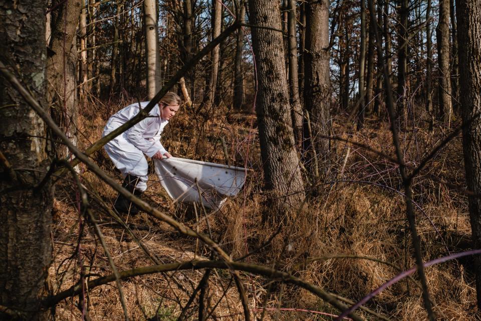 Ally Kendle, a senior at New Philadelphia High School, works to collect deer ticks at the Norma Johnson Center in Dover Township.