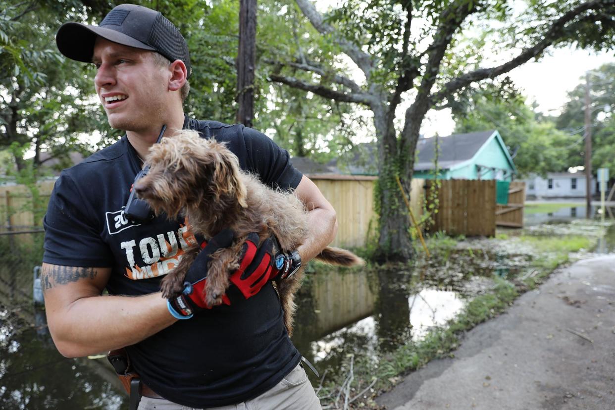 A volunteer rescuing a dog from the flood waters in Texas. Hundreds of animals have been abandoned by their owners: Getty Images