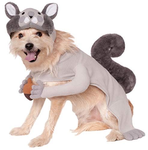 Squirrel Dog Costume