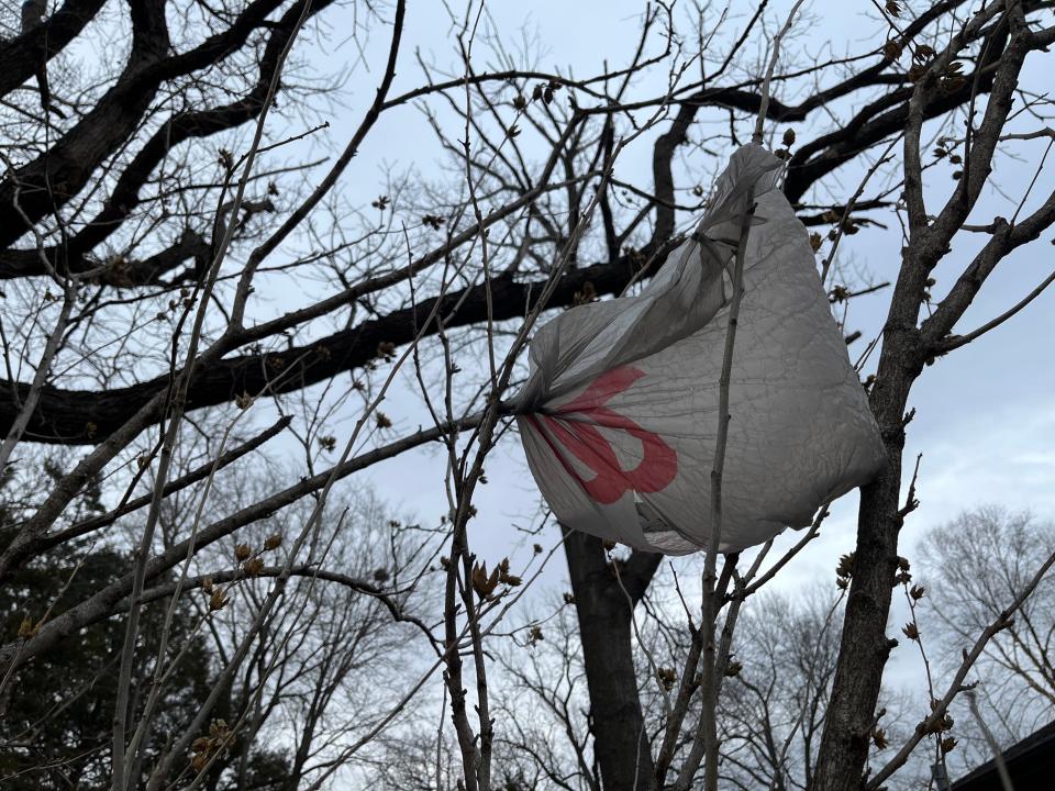 Lawrence banned use of single-use plastic grocery bags starting last month. Gov. Laura Kelly vetoed a bill passed by Kansas legislators that would have prohibited such bans.