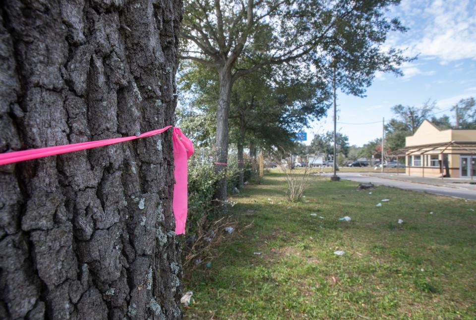 Trees in front of the site of the former Church's Chicken on Creighton Road are set to be cut down to make way for a new car wash, but some Pensacola City Council members want to ask the developer to consider keeping the trees.