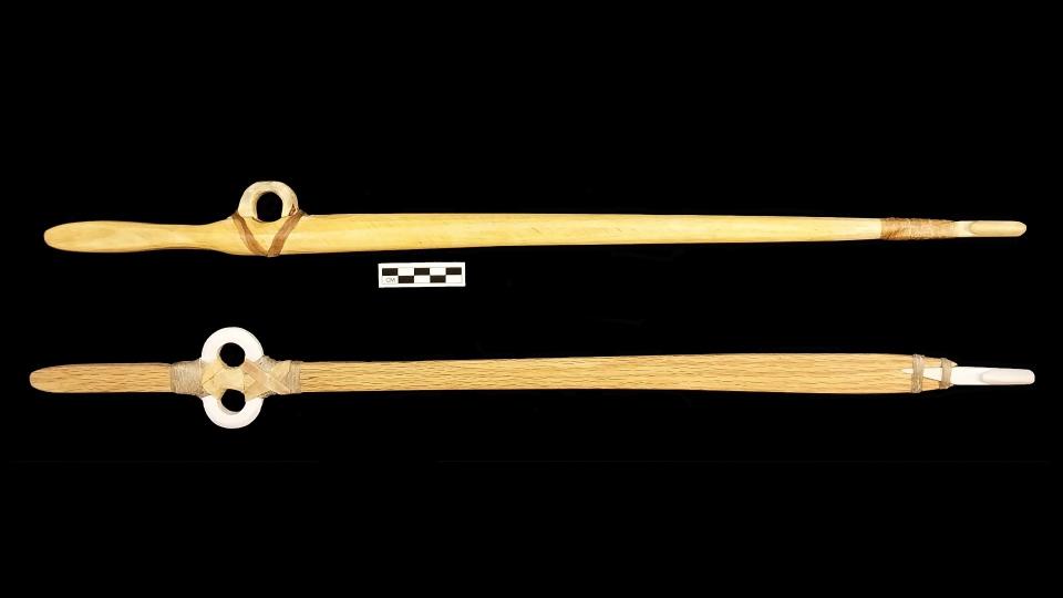 Modern experiments with replicas of the open rings suggest they work well as finger loops when attached to wooden spear-throwers; and this matches the patterns of wear on them. Here we see 2 long sticks/spears with finger loops attached about a hand width away from the base.