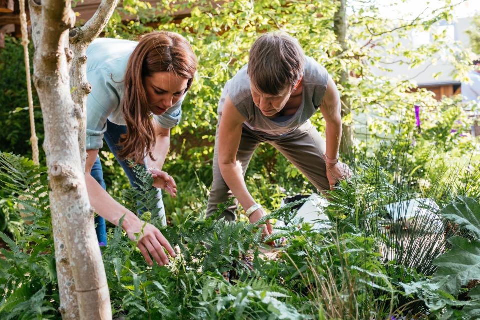 First peek at Chelsea Flower Show garden designed by the Duchess of Cambridge