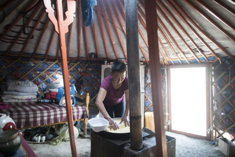 Many gave up the traditional nomadic lifestyle of Mongolia's 900,000-strong herder population to move to Ulan Bator, harbouring dreams of richer opportunities in the urban centre