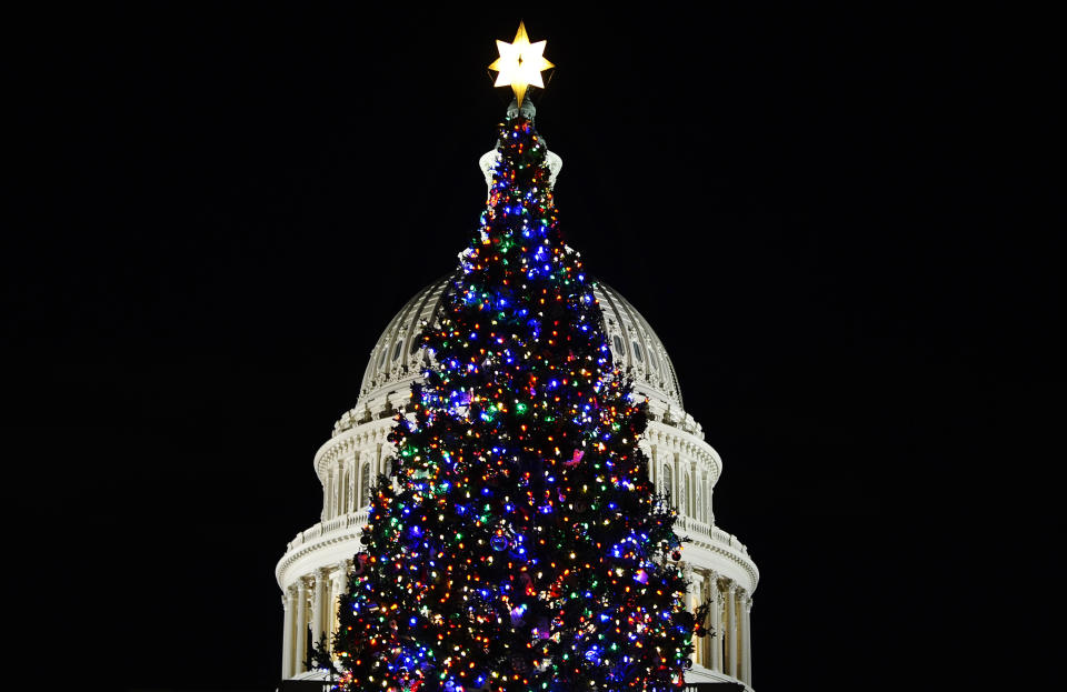 A Christmas after being lit by U.S. House Speaker Nancy Pelosi, D-Calif, is pictured before the Capitol Hill dome in Washington on December 7, 2010. (JEWEL SAMAD/AFP/Getty Images)
