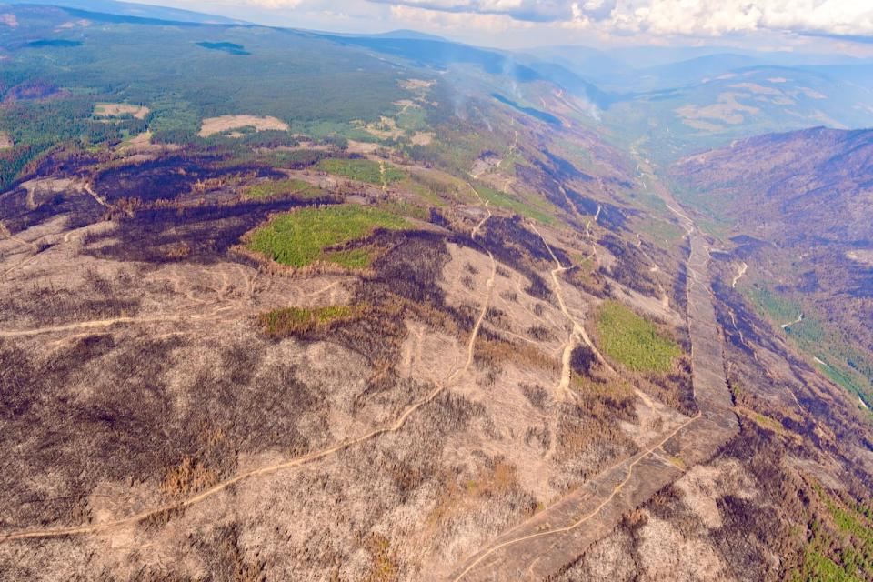 An aerial photo shows the planned ignition site and swaths of burnt forest north of Lee Creek.