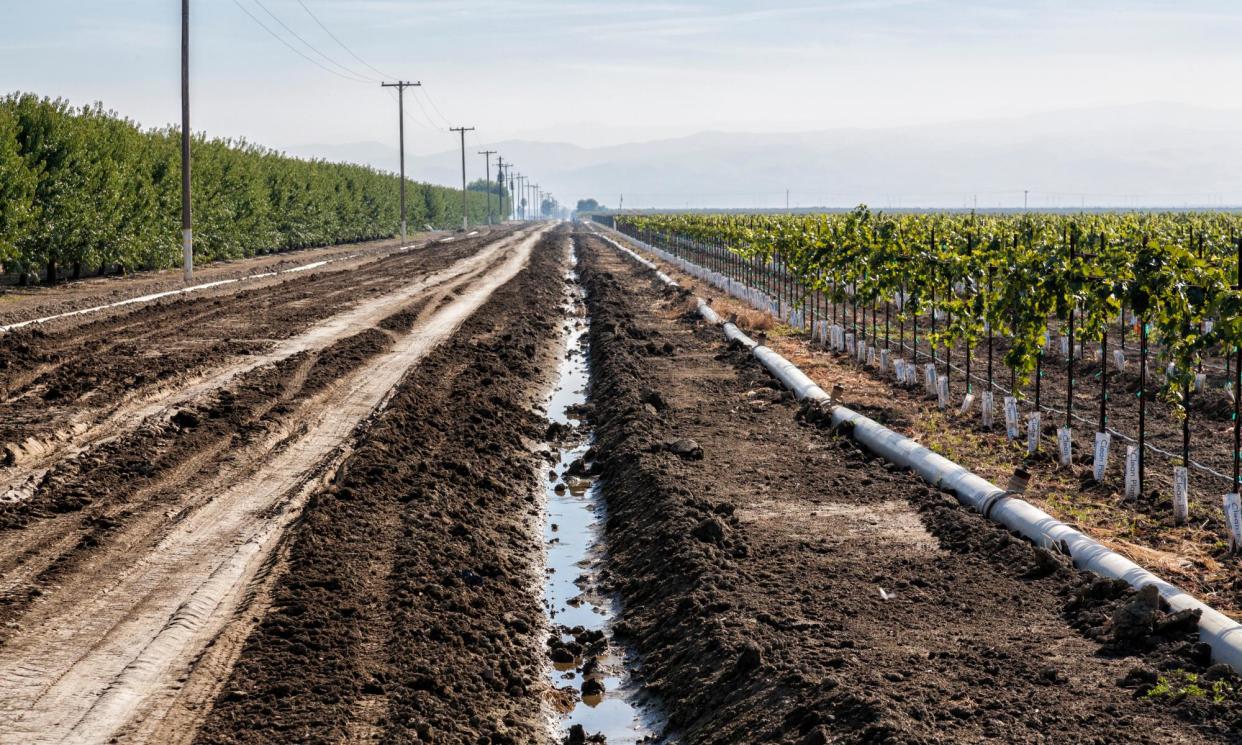 <span>Irrigation ditch in the San Joaquin valley, California.</span><span>Photograph: Education Images/Universal Images Group/Getty Images</span>