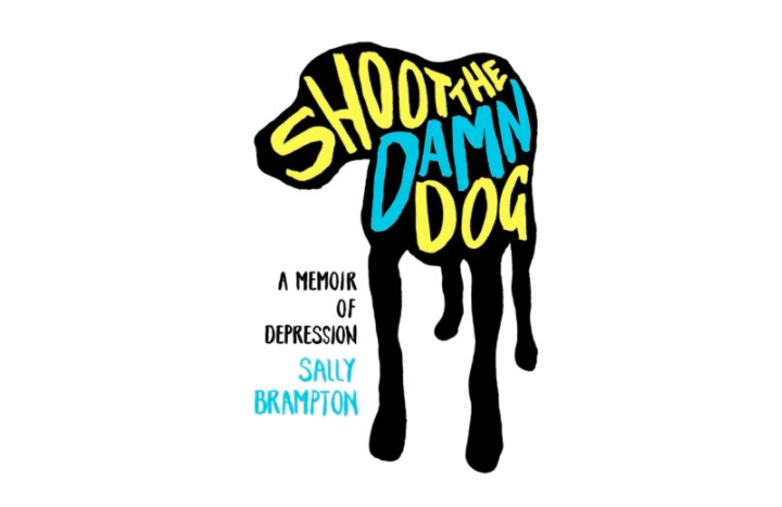 34) Shoot the Damn Dog: A Memoir of Depression