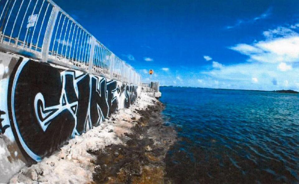 “Cyne” has been spray-painted on bridges and buildings over the past few years in the Lower Keys.
