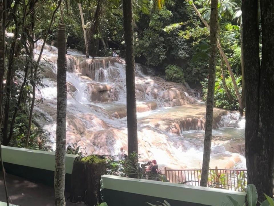 The view of a waterfall between thin tropical trees.