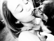 Celebrity photos: Miley Cyrus adopted a new puppy this week and wasted no time in posting a stream of pictures of the pup on Twitter. She shared this cute snap with the caption: “Theres times when I think we dont rescue them but they save us. He brings so much ❤ into my life.We r BOTH so grateful” [sic] Aw!