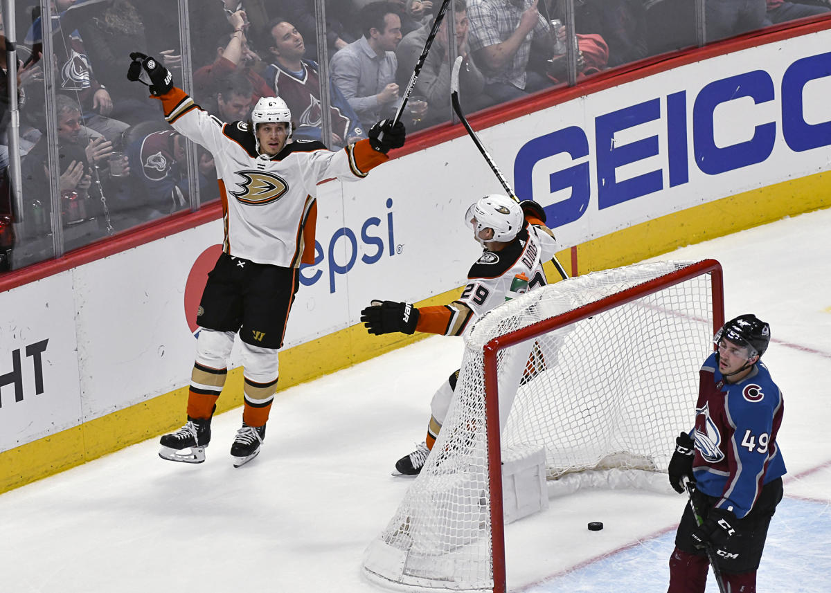 Anaheim Ducks left wing Rickard Rakell during an NHL hockey game