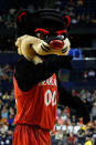 NASHVILLE, TN - MARCH 16: The Cincinnati Bearcats mascot performs during a break in play against the Texas Longhorns the second round of the 2012 NCAA Men's Basketball Tournament at Bridgestone Arena on March 16, 2012 in Nashville, Tennessee. (Photo by Kevin C. Cox/Getty Images)