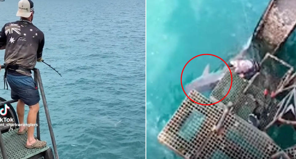 Alex from NT Shark Wrangles spent about an hour reeling in a tiger shark in Darwin. Source: TikTok