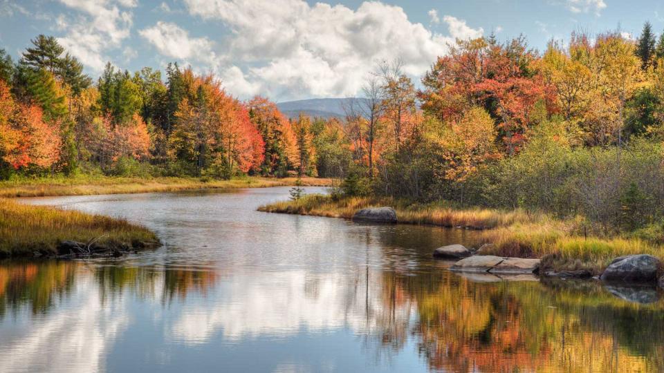 Fall Leaves Maine River Bar Harbor