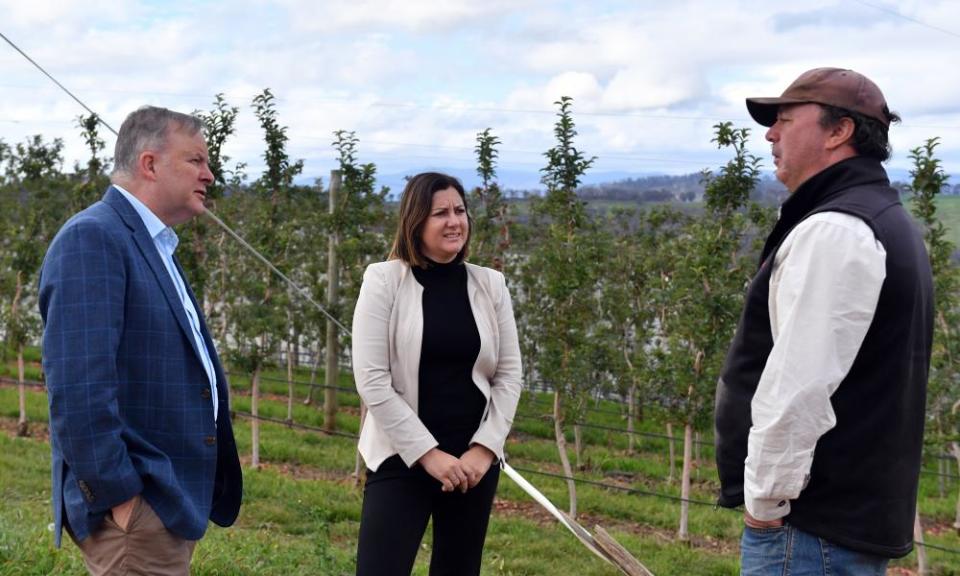 three people stand next to small trees