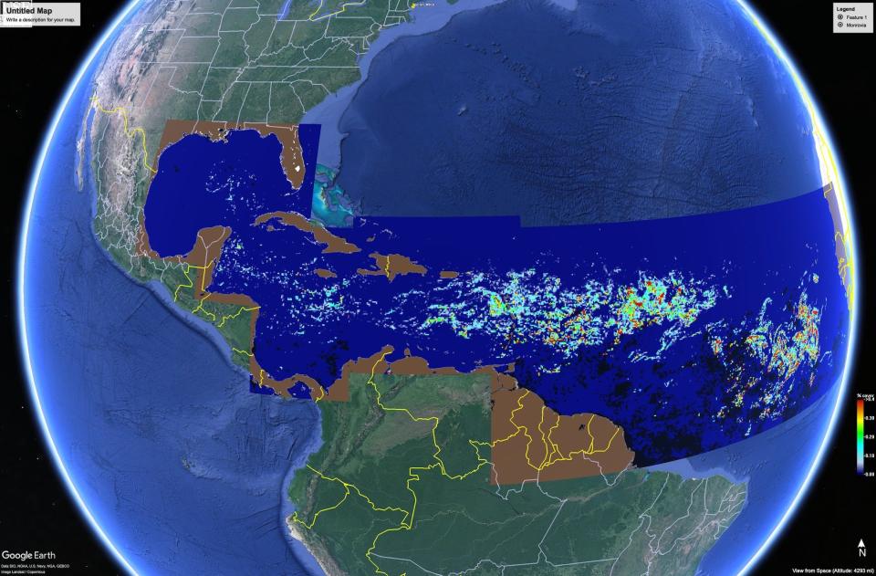 satellite image of earth americas shows blue pixels representing algae bloom spanning the width of the atlantic ocean