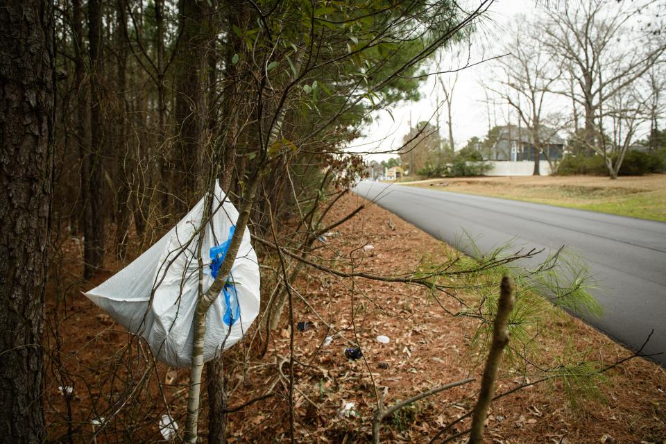 A full trash bag hangs from a tree along Buhmann Drive in Fayetteville.