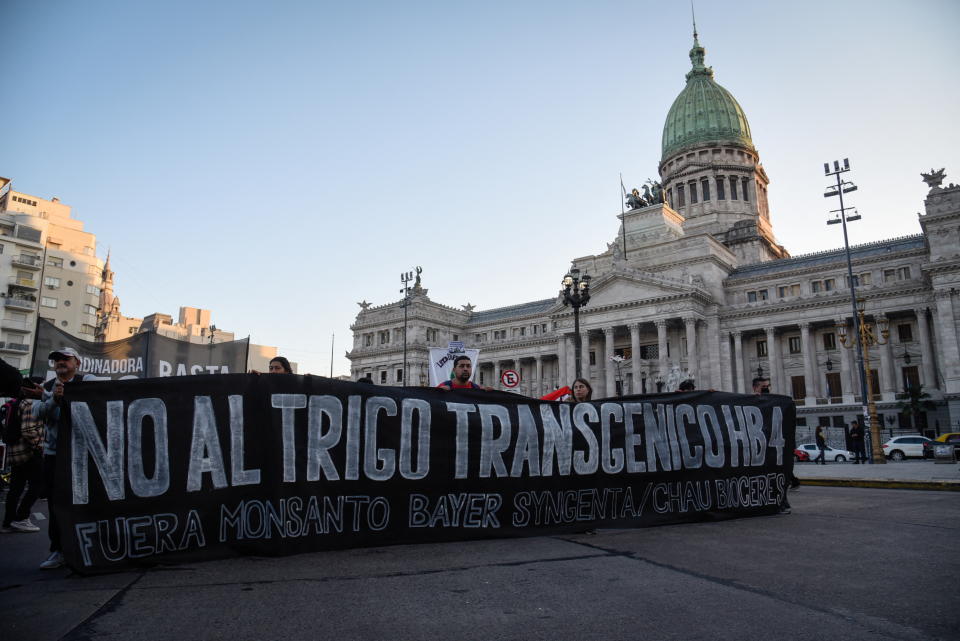 Monsanto, de la farmacéutica Bayer, no solo enfrenta protestas por el maíz transgénico, en Argentina rechazaron el trigo modificado (Foto: Reuters/Mariana Nedelcu)