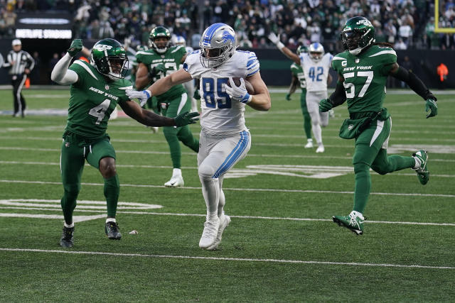 Detroit Lions 20, New York Jets 17: Best photos