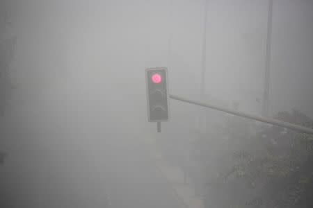 A traffic signal displays a red light during heavy fog in Delhi, India December 1, 2016. REUTERS/Cathal McNaughton