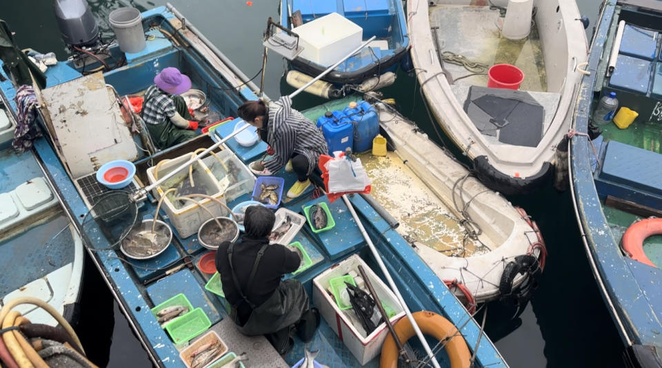 清晨六點的西貢天光墟，漁民忙個不停出售魚獲。（受訪者提供圖片）