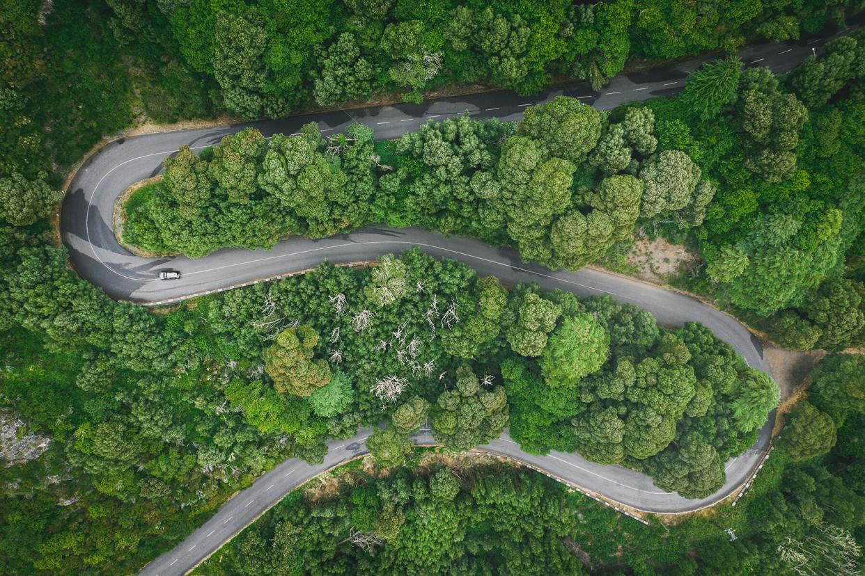 Aerial view of winding road in UNESCO's laurel forest, Madeira, Portugal