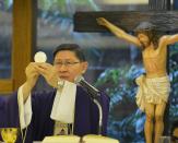 The Archbishop of Manila, Cardinal Luis Antonio Tagle, celebrates mass at a church in Manila, on February 13, 2013. Bishops and all Catholics in the Philippines are hoping that Tagle will be the next pope, a senior church figure said on February 12, as he promoted the credentials of the country's only candidate