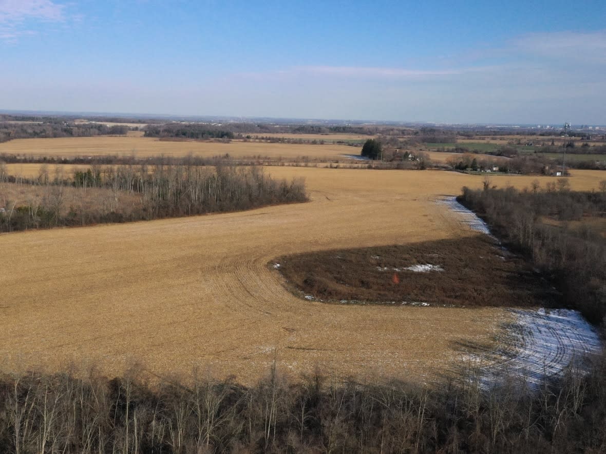 Ontario developer Silvio De Gasperis first bought parcels of farmland near Pickering, Ont., in 2003, in what is now known as the Duffins Rouge Agricultural Preserve. (Giuseppe Fiorino/CBC - image credit)