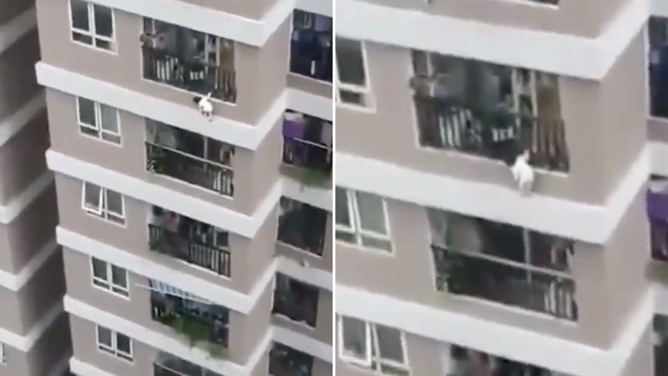 A child seen dangling from an apartment building on Sunday afternoon. Source: Twitter/Unicanal