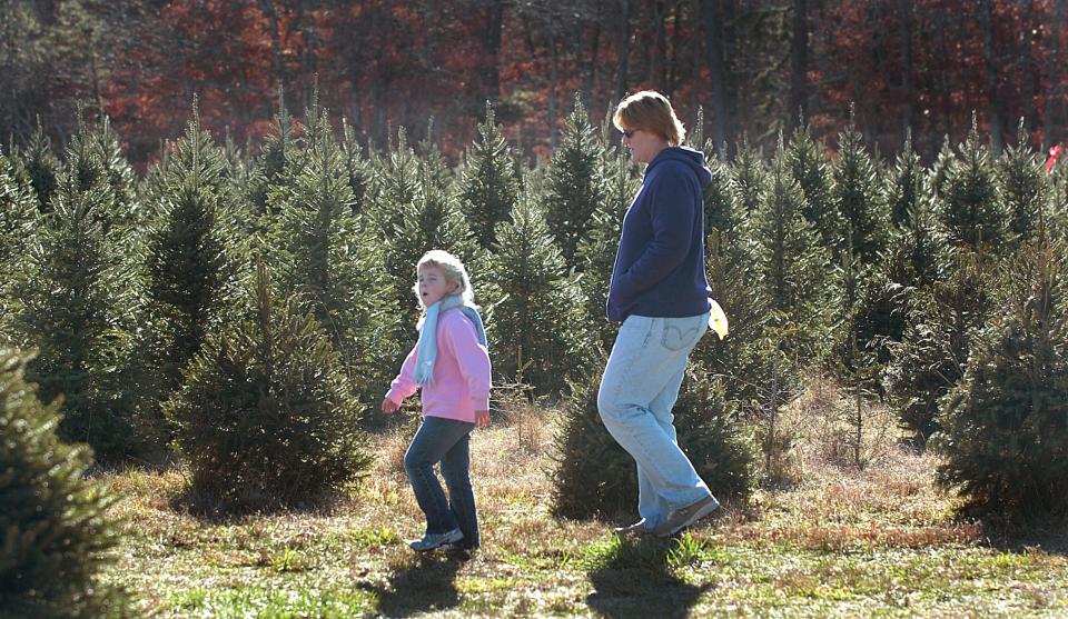 Daughter and mom look for a tree at Ponderosa Christmas Tree Farm in Egg Harbor City.