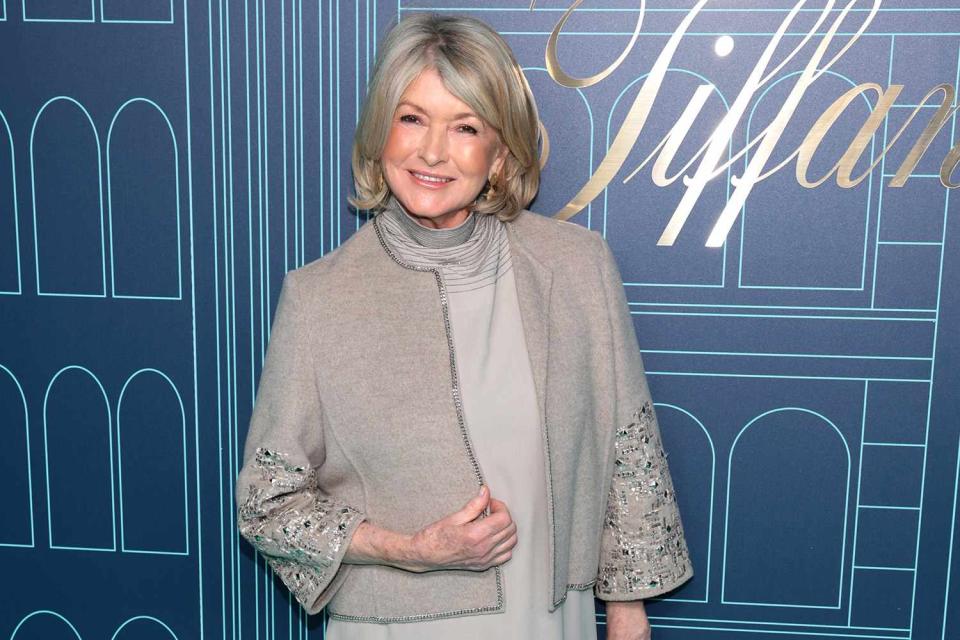 <p>Dimitrios Kambouris/Getty</p> Martha Stewart