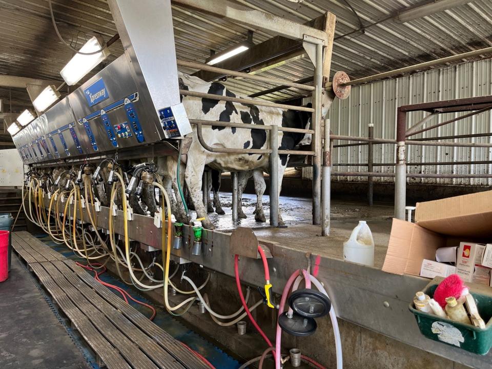 The milking parlor at Sprague Ranch dairy farm in Brookfield, as seen on May 12, 2023.