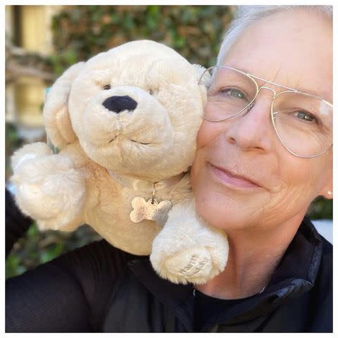 <p>Jamie Lee Curtis/Instagram</p>