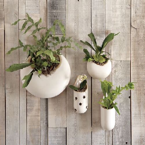 Ceramic Wall Planters