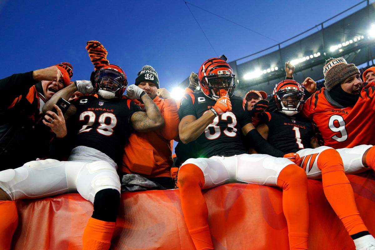 Cincinnati Bengals wide receiver Ja'Marr Chase (1) celebrates a touchdown  by wide receiver Tyler Boyd (83) during an NFL wild-card playoff football  game against the Las Vegas Raiders, Saturday, Jan. 15, 2022