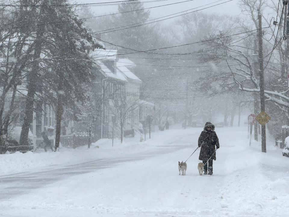 A person walks a dog as snow falls in Portsmouth, N.H., Sunday, Jan. 7, 2024. A major winter storm bringing up to a foot of snow and freezing rain to some communities spread across New England Sunday sending residents scurrying to pull out their shovels and snow blowers to clear sidewalks and driveways. Winter storm warnings and watches were in effect throughout the Northeast, and icy roads made for hazardous travel as far south as North Carolina. (AP Photo/Caleb Jones)