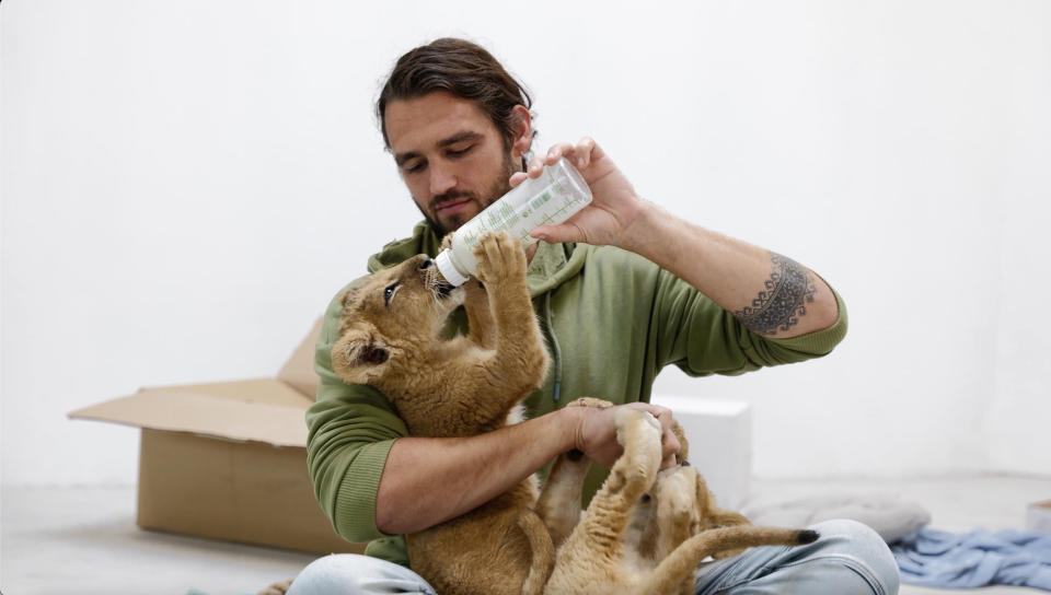 Dr. Andrew Kushnir with lion cubs rescued from Ukraine at the Poznan Zoo. (Holly-Marie Cato)