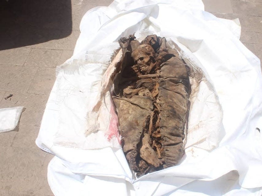 The mummy is shown wrapped in animal hide, placed on a white plastic sheet. The body is curled up on itself.